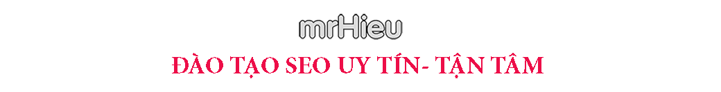 Đào tạo seo Mr Hieu